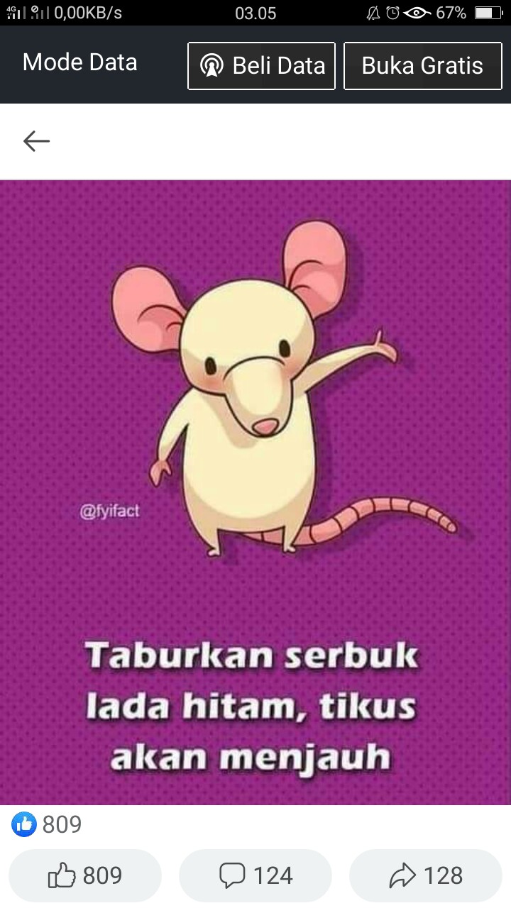 Petrokum 100 Gr Racun Tikus Mati Kering Tidak Bau