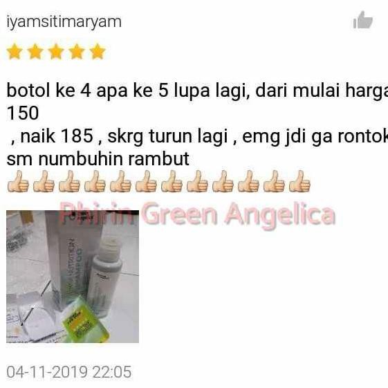 Bergaransi Green Angelica Green Angelica Bergaransi