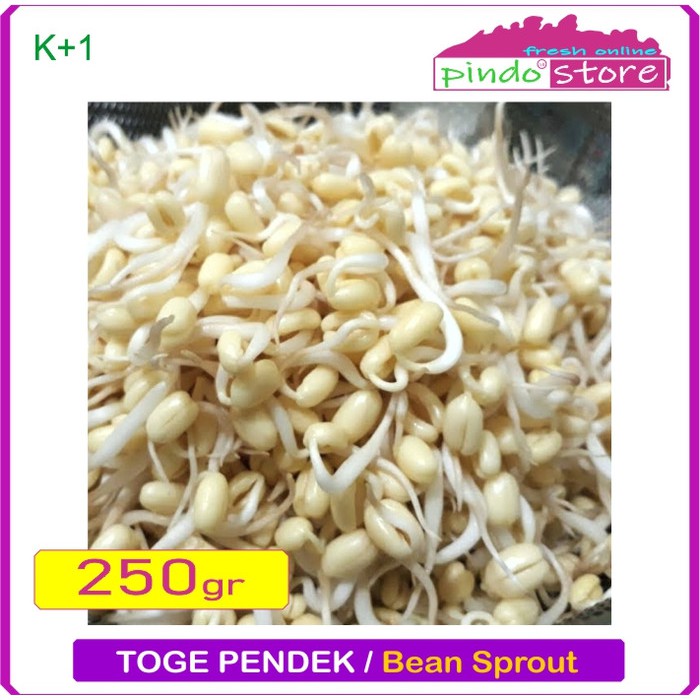 

TOGE PENDEK / TOGE RAWON DIJAMIN SEGAR