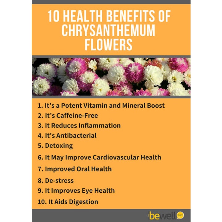 

MAR ELIF TEA AND TISANE Chrysanthemum Tea Teh Bunga Krisan untuk Jerawat Mendem Panas Dalam