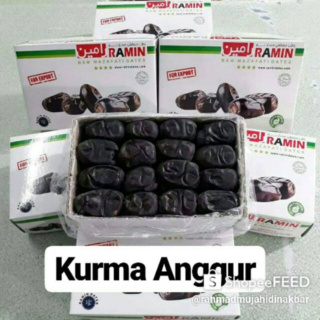 

Kurma Anggur Ramin