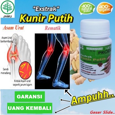 OBAT HERBAL KUNYIT PUTIH REMATIK ASAM URATKUNIR PUTIH ASLI JAMU KUNIR SERBUK KANKER TUMOR MAAG LAMBU