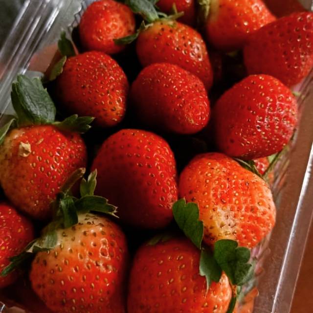 

Strawberry Fresh