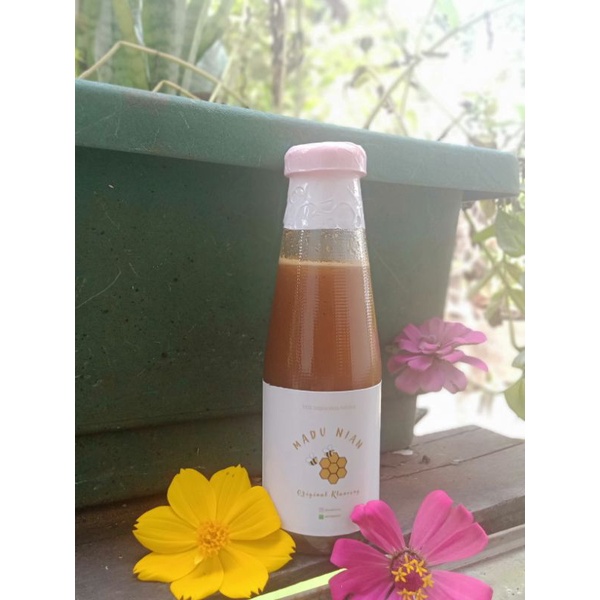 

Madu Klanceng Asli Original