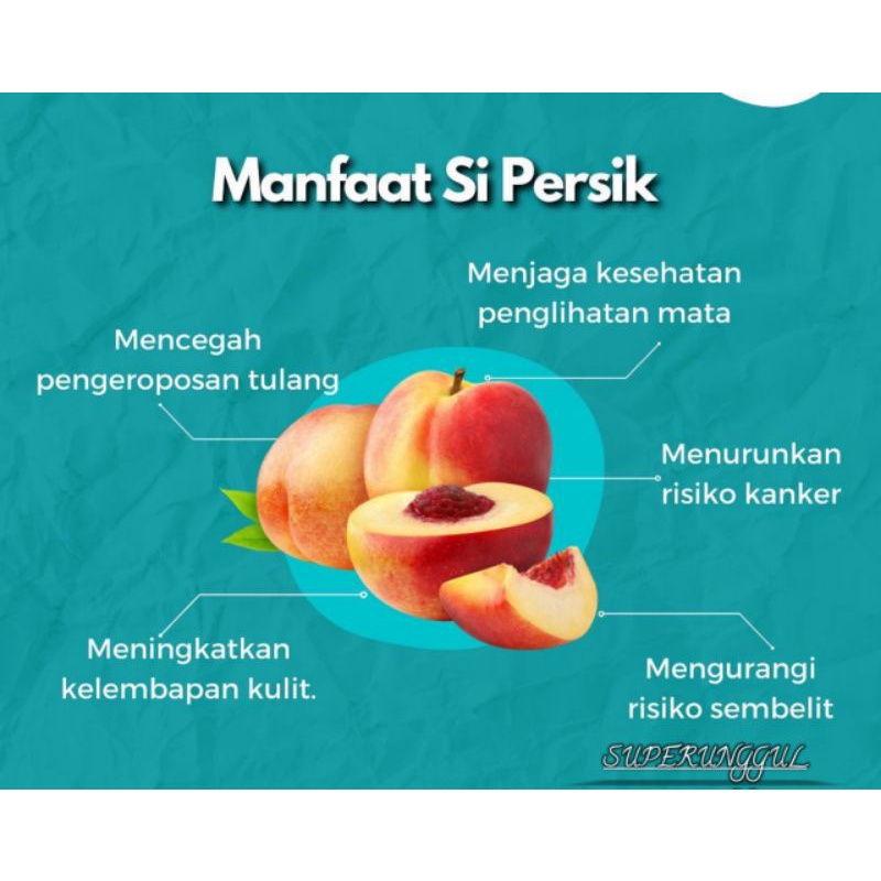 Bibit Buah Persik super