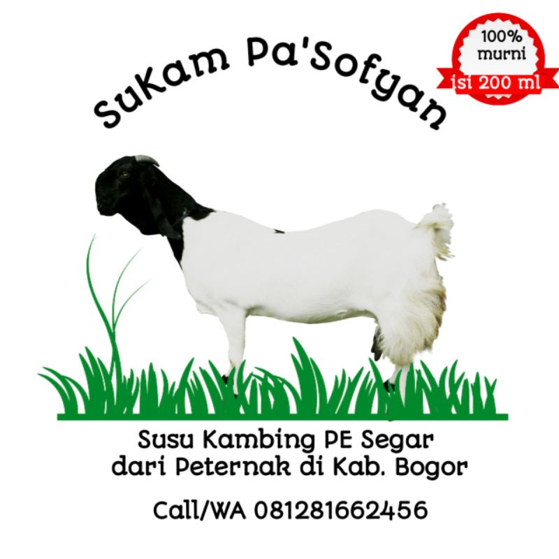 

Susu Kambing Etawa Pa' Sofyan