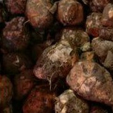 

Temulawak segar 1kg