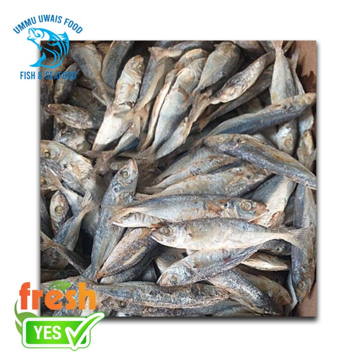 

Ikan Asin Japu - 250 Gram