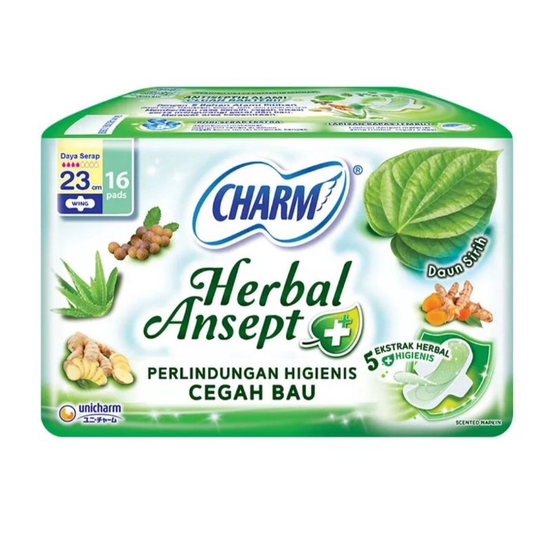 charm wing herbal ansept 23cm