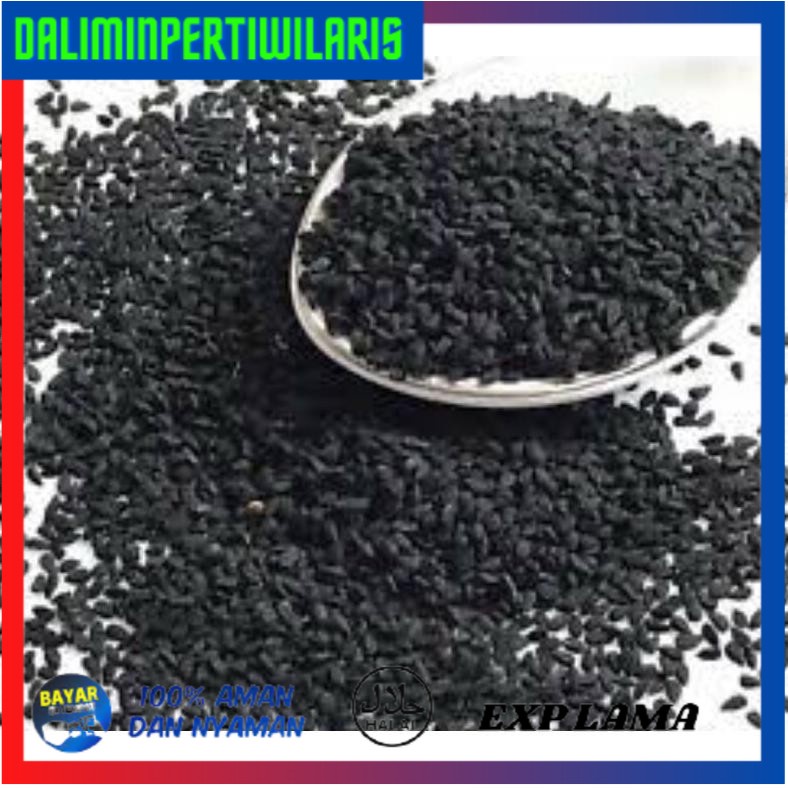 

( BISA COD ) Jintan Hitam / Habbatussauda 1 Kg KOMPLIT [Kode 1|Kode 2|Kode 3|Kode 4|Kode 5|Kode