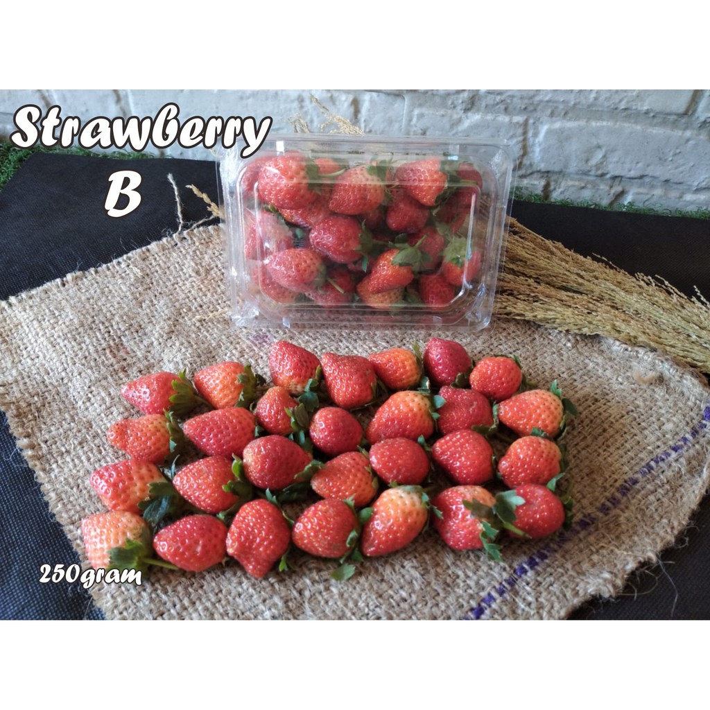 

Strawberry Fresh Grade B 250 gram termurah harga grosir