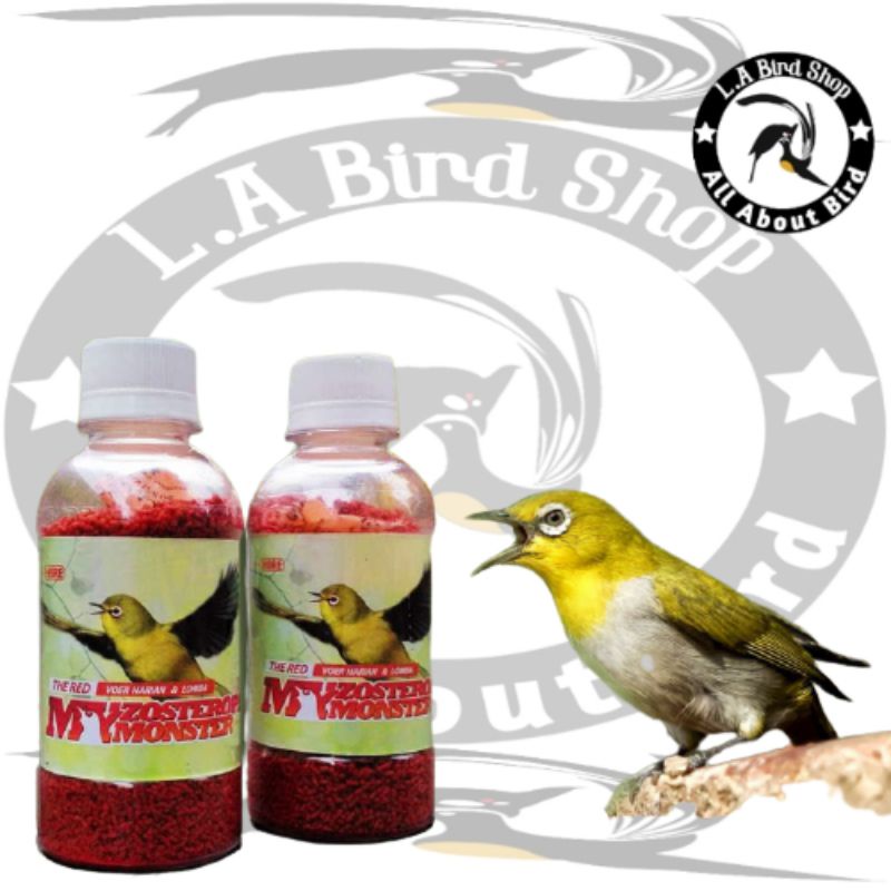 PAKAN ZOMO VOER ZOMO RED MY ZOSTEROPS MONSTER VOER HARIAN DAN LOMBA UNTUK PLECI