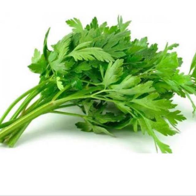 

Daun seledri 1 ikat