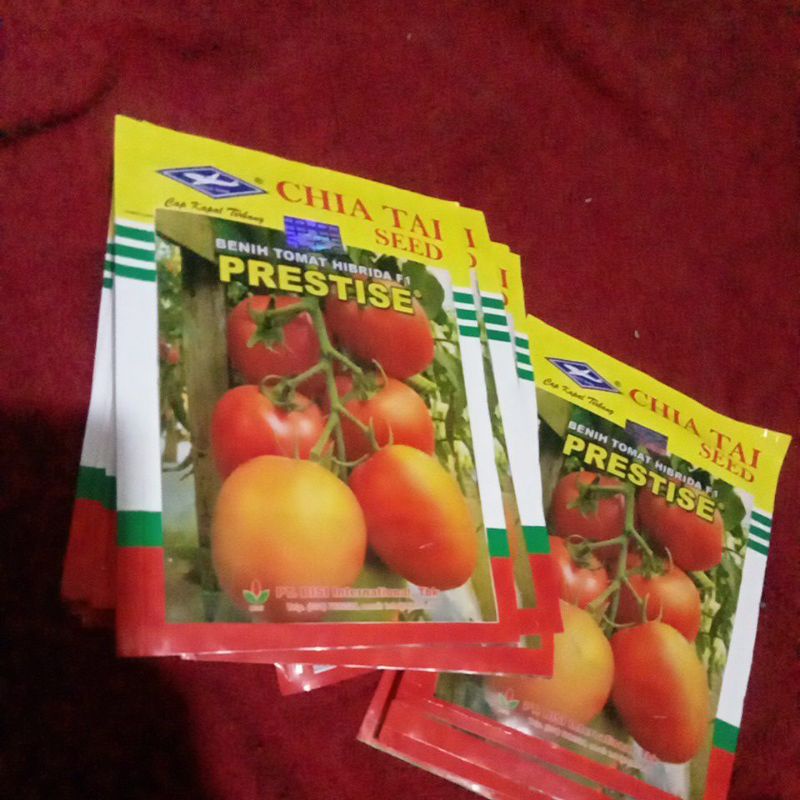 BENIH TOMAT PRESTISE /10gr / Tomat Besar