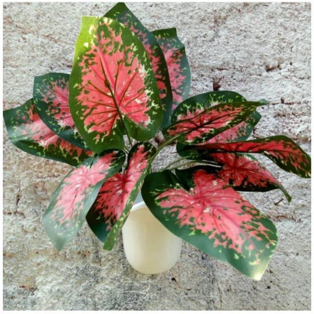 Rangkaian Daun Keladi Merah Dengan Pot Dinding Daun Palsu Daun Plastik Monstera Artifisial Shopee Indonesia