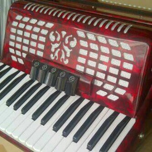 Acordeon merk Vienna Original import
