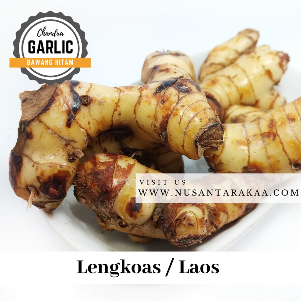 Termurah laos / lengkuas / lengkoas / laja 1kg