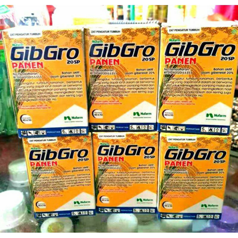 Zpt gibgro panen 20sp gibelerin acid ga3