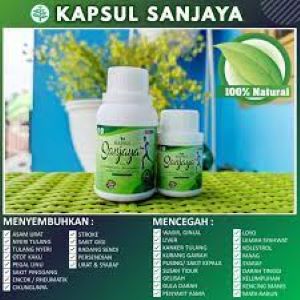 OBAT HERBAL KAPSUL SANJAYA (COD) ,obat nyeri sendi ,asam urat ,obat tulang ,obat nyeri sendi  ,obat 