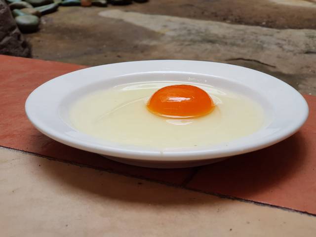 

TELUR AYAM NEGERI / HORN ORGANIK OMEGA