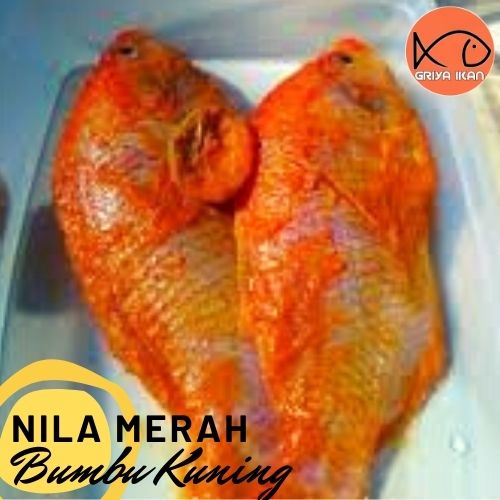 

IKAN NILA BUMBU KUNING Instant siap goreng