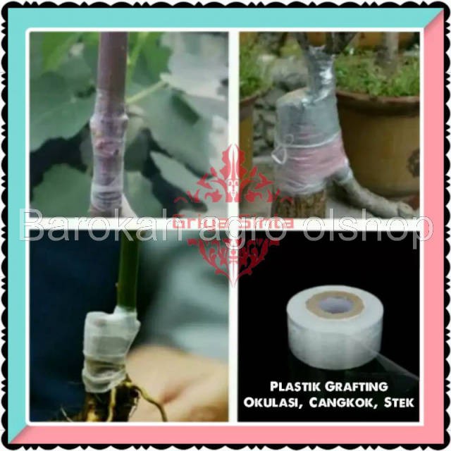 perlengkapan berkebun grafting tape plastik grafting okulasi cangkok plastik stek tanaman