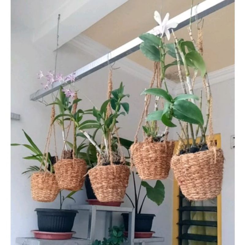 pot anggrek pot gantung pot gantung anggrek pot tanaman pot sabut kelapa
