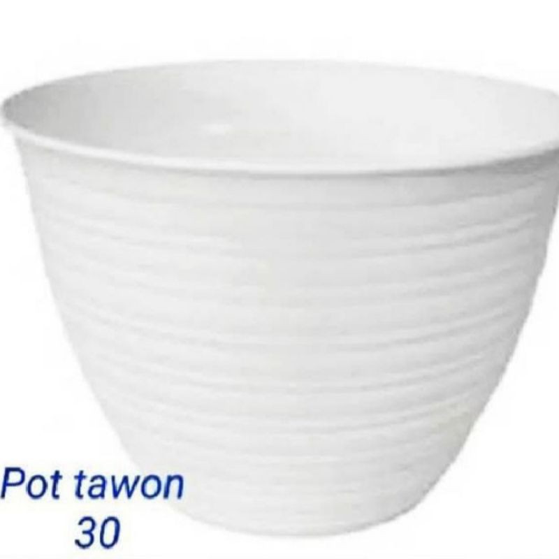 Pot Bunga Tawon 30