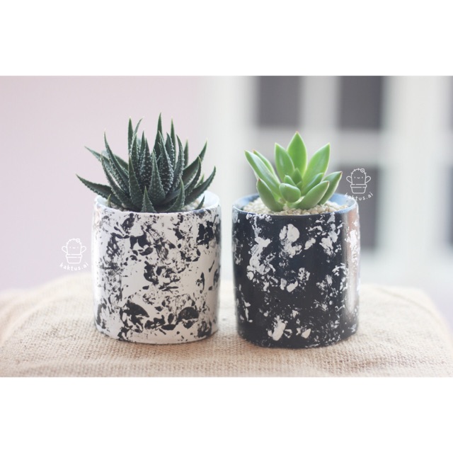 Pot lukis Tanaman abstrak putih hitam minimalis kaktus Pot lukis Tanaman abstrak putih hitam minimalis kaktus