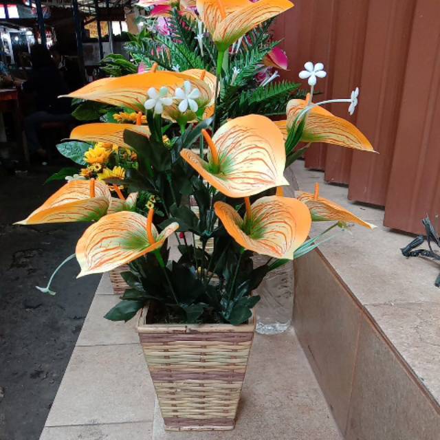 

Aron panda mini/auturium