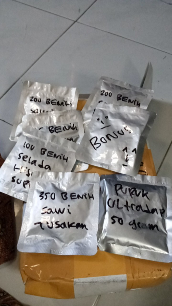 350 Biji Benih Sawi Tosakan Terbaik