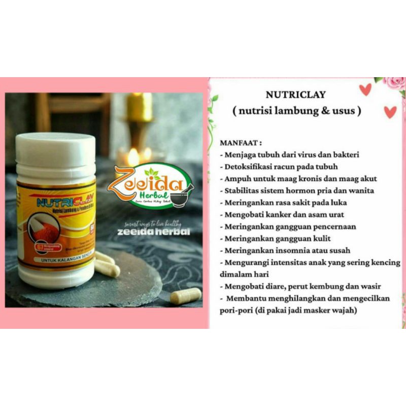 NUTRICLAY (NUTRISI LAMBUNG DAN USUS)