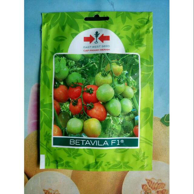 Betavila F1 volume 5 gram benih tomat
