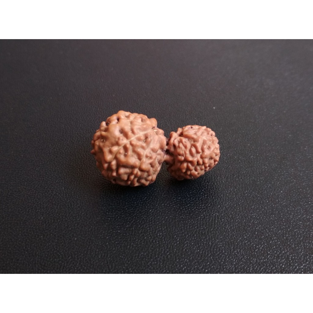 Jenitri Garbh Gauri D24.85x14 Mukhi 13 Liontin Rudraksha Genitri
