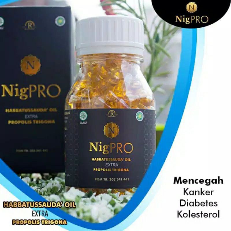 NigPRO Habbatussauda Oil Extra Propolis Trigona Atasi Masalah Kesehatan