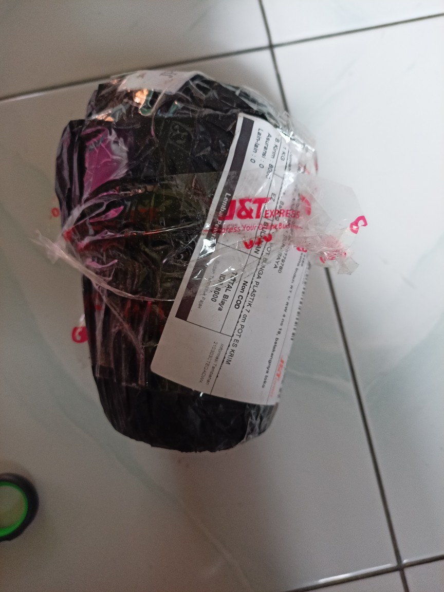 Pot Bunga Plastik 10 Cm Pot Es Krim Plastik Baru Pot Hidroponik