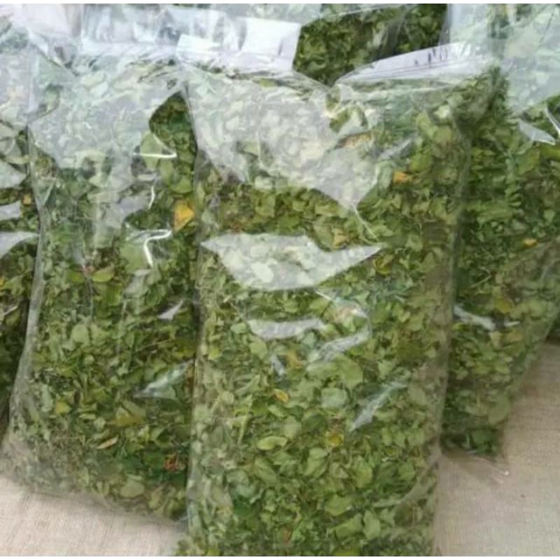 

Daun Kelor Kering