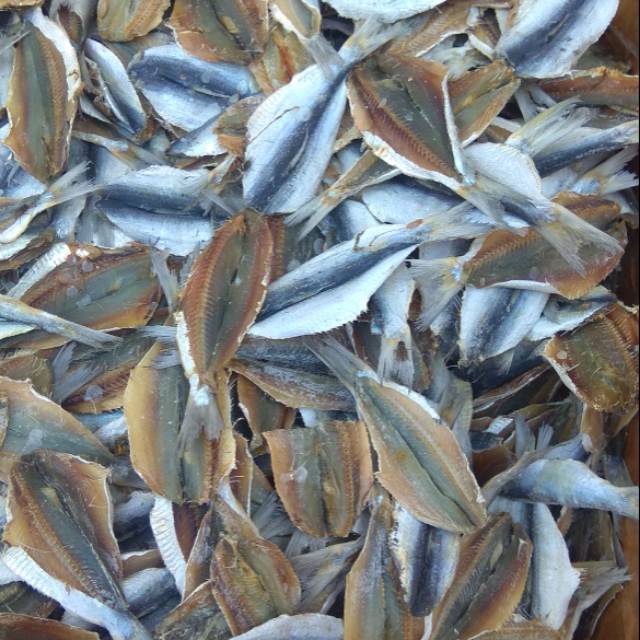 Jual Ikan Asin Belah Dendeng Asli Medan Berat Gram Shopee Indonesia