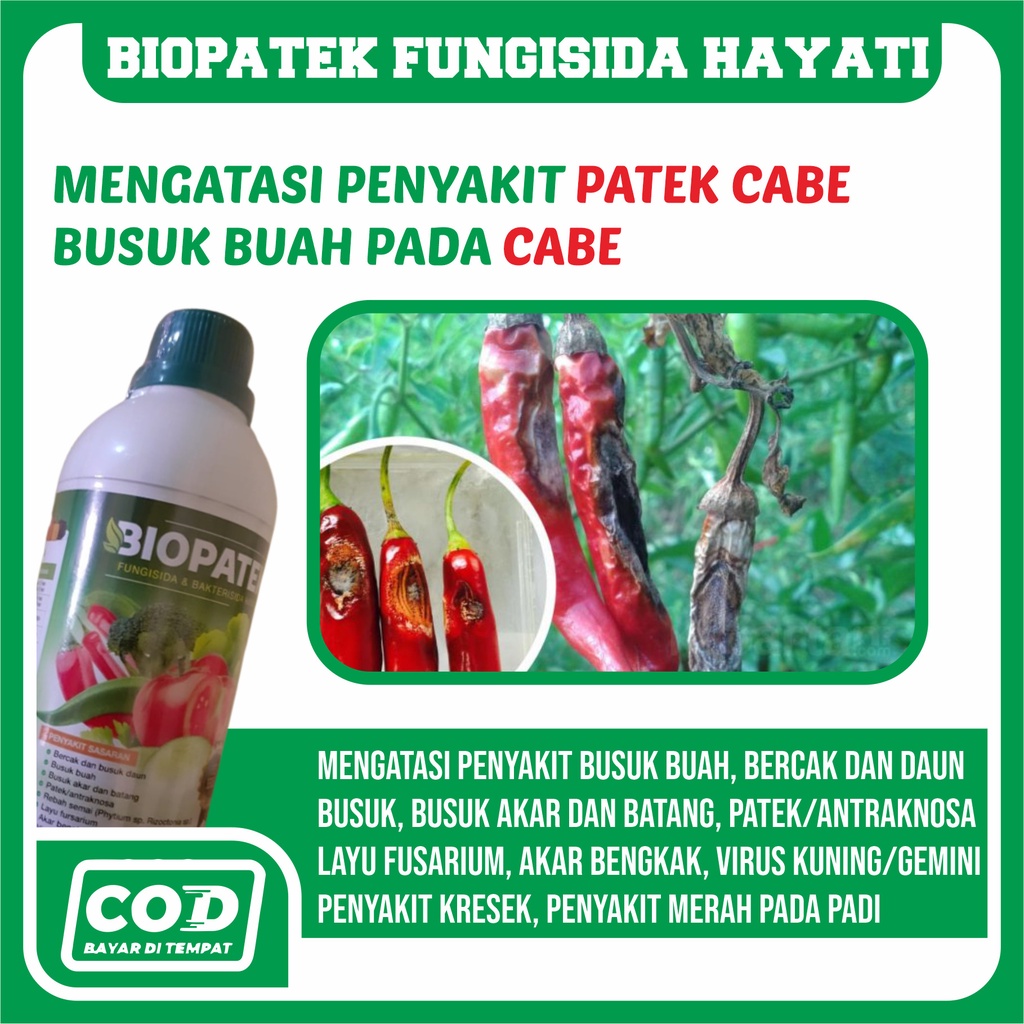 (LANGSUNG KIRIM) Obat Semprot Tanaman Cabe BIOPATEK, Atasi Patek, Layu Daun Fusarium, Busuk Akar Cab
