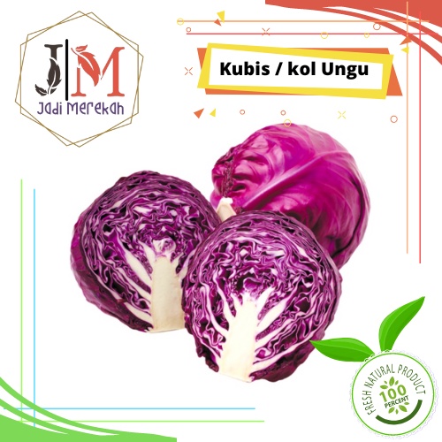 

[JM SoFresh] - Kol (Kubis) Ungu