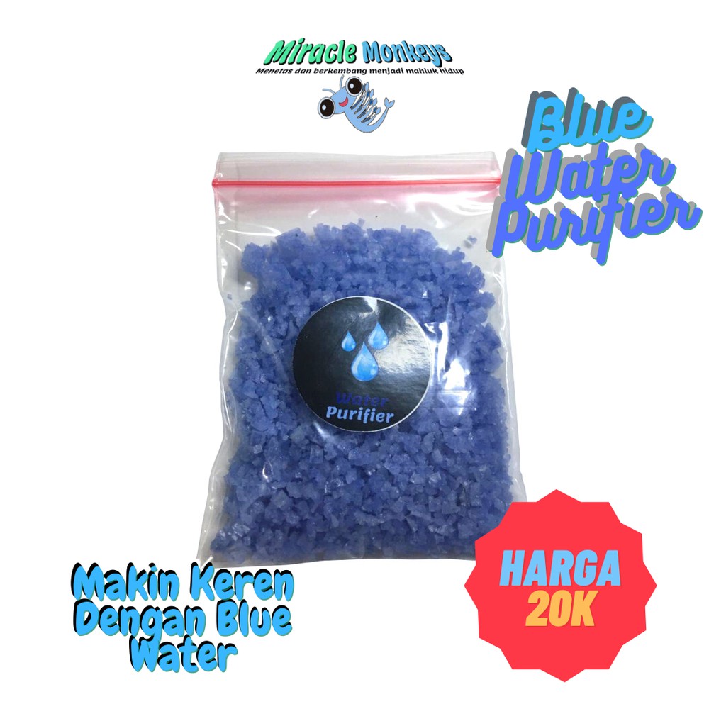 Miracle Monkeys Special - Blue Water Purifier - Air Biru untuk Pelihara Monyet laut Sea monkeys