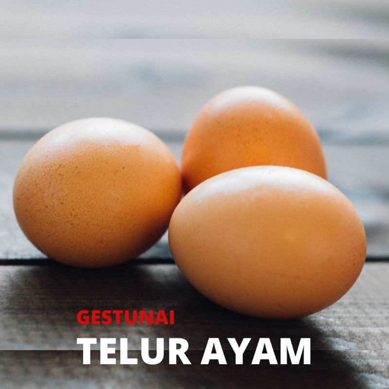 

SPECIAL TELUR AYAM NEGRI - PAYLATTER