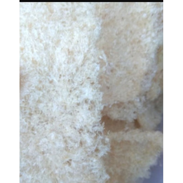 

sarang burung ancuran export