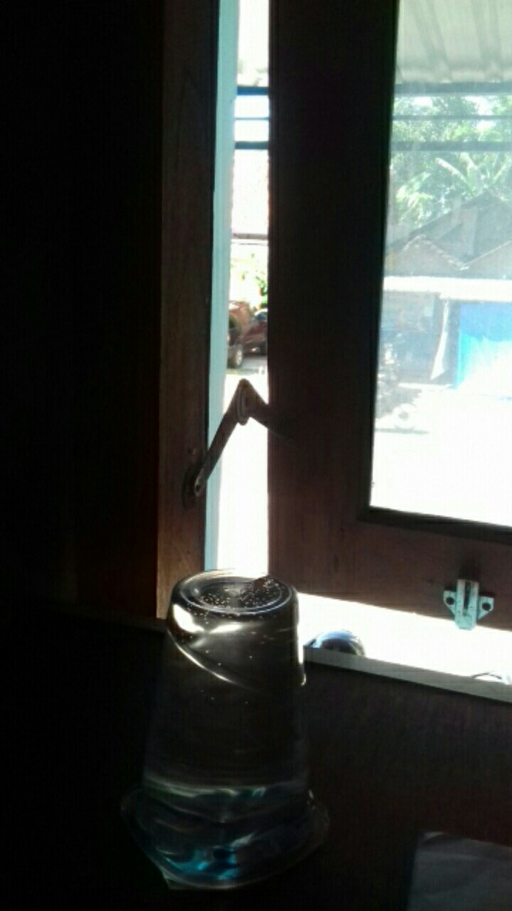 Sarung Batik Pekalongan Original Produk Sarung Motif Terbaru Motif Aslike Cumi Cumi