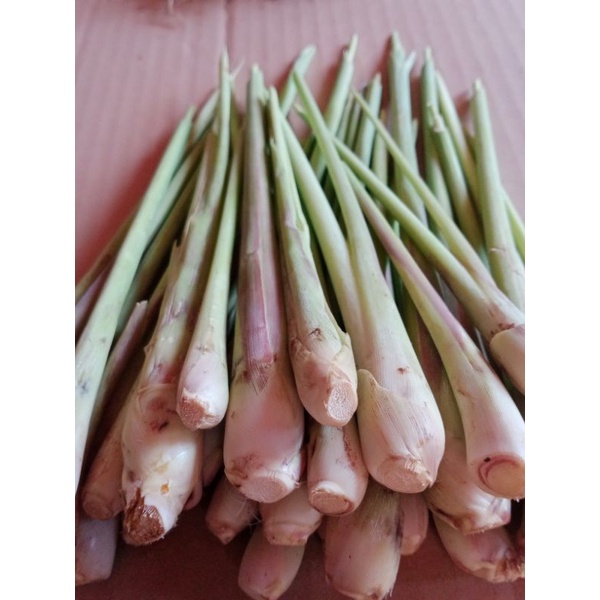 

Jual sreh bumbu sreh sayur segar 500 gram.