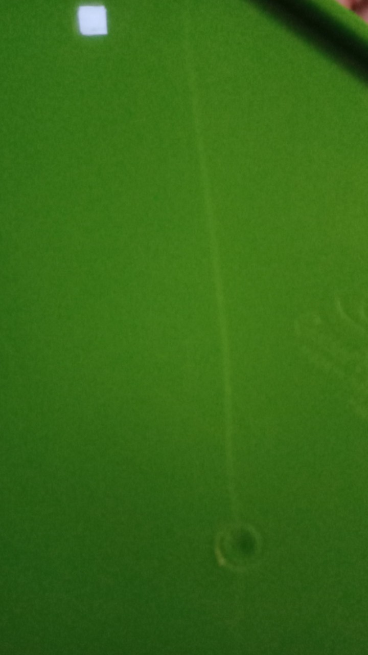 Basi Prasmanan Kotak Gr Green / Kotak Makanan Prasmanan Genki Market