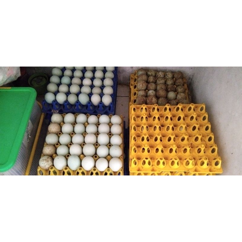 

telor asin 100 gram