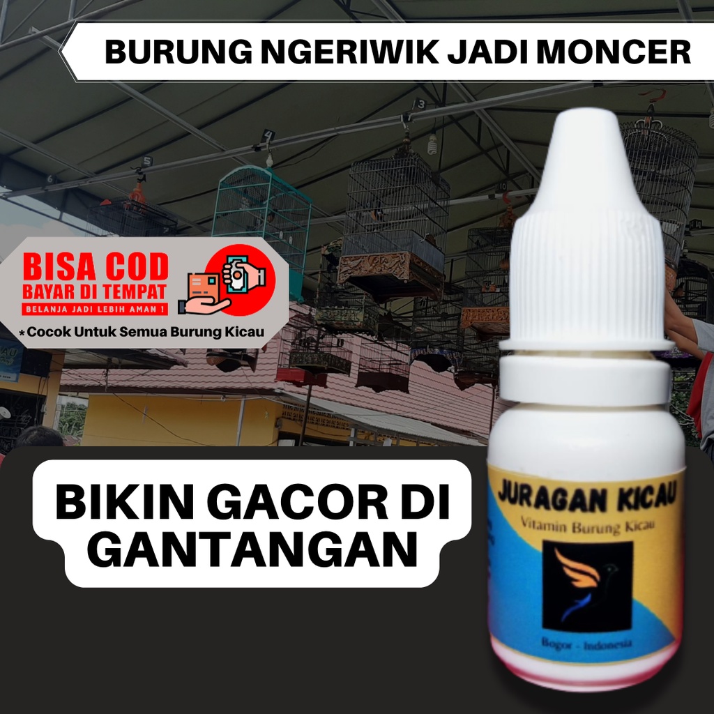 Juragan Kicau - Doping Obat Vitamin Burung Gacor Lomba Lovebird Ngekek Panjang Konslet Fighter Murai