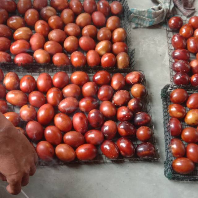 

Telur asin brebes bakar...