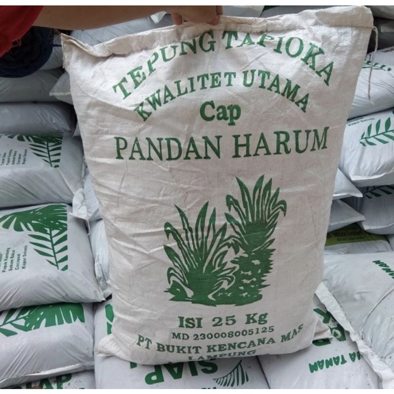 cocofiber ( serabut kelapa 1karung)